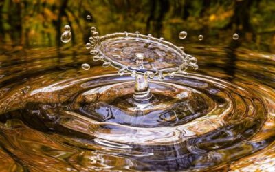 El agua es una prioridad en San Vicente