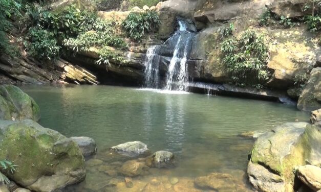 Cañasgordas protege las fuentes hídricas