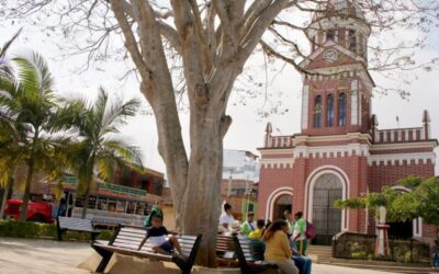 El árbol más importante del parque de Campamento