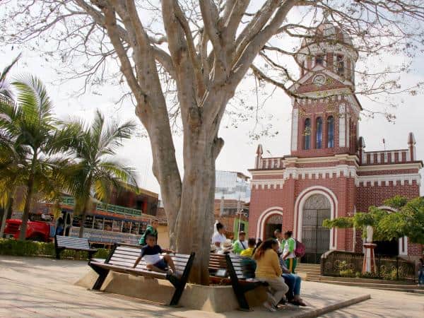 El árbol más importante del parque de Campamento