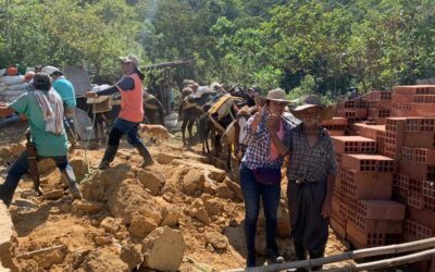 En Alejandría se construye una casa para Don Zoylo