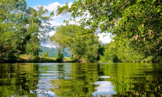 Sabanalarga cuida y protege las fuentes hídricas