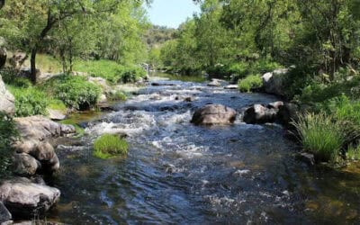 Fortalecen la conservación de los ríos en San Rafael