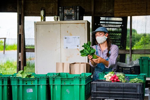 Regresa el mercado campesino a Maceo