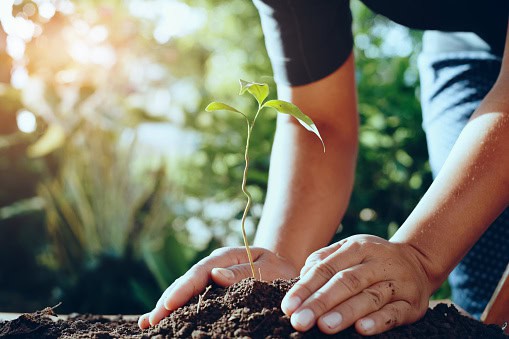 Feria ambiental en Santa Fe de Antioquia