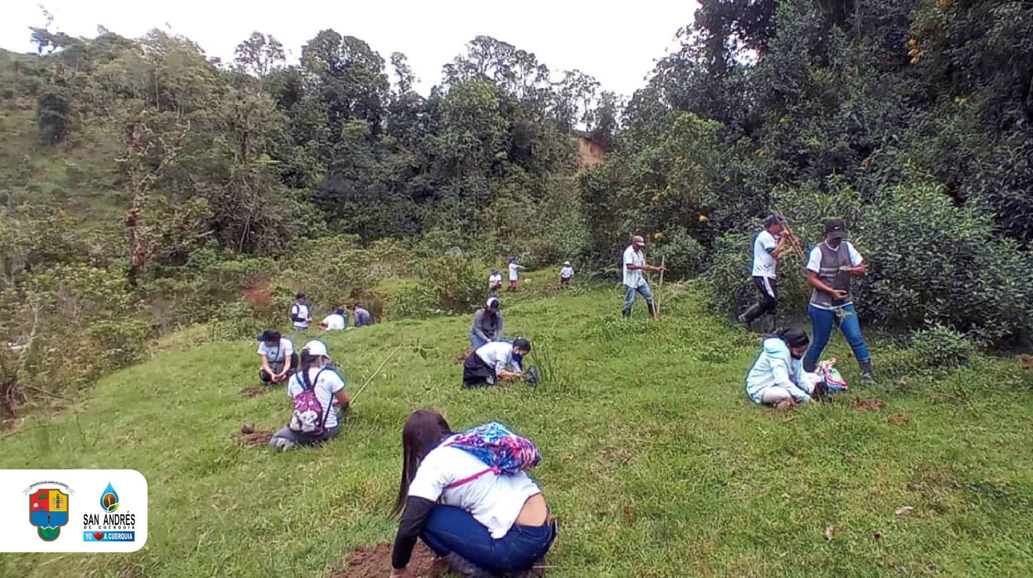 San Andrés de Cuerquia realiza una sembratón que beneficia al medio ambiente