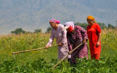 Mujeres que transforman el campo
