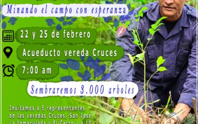 En Alejandría se sembrará 3000 árboles nativos en Cruces