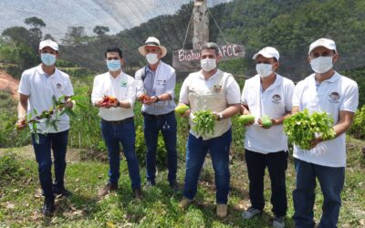 Puerto Berrío generó estrategias para el progreso de las huertas familiares