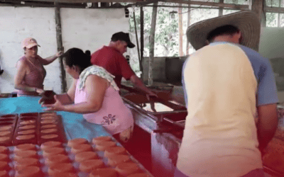Recuperación del Trapiche Comunitario de la vereda San Julián, en Puerto Berrío