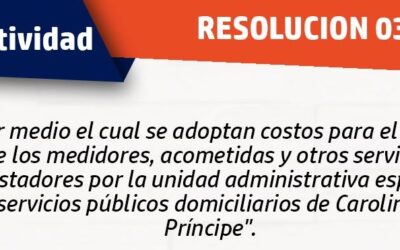 Costos de servicios públicos en Carolina del Príncipe