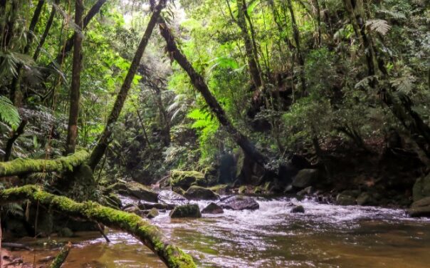 Parque BIO+ en Suroeste antioqueño