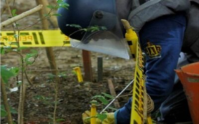 Desminado Humanitario en Apartadó