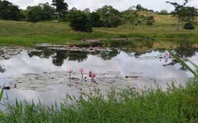 “El calor de hogar” en San Pedro de Urabá