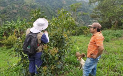 Betulia apoya a los campesinos y la naturaleza
