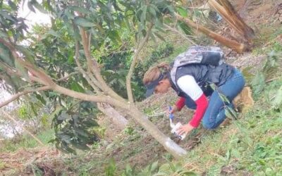 Briceño ejemplo de municipio verde y social