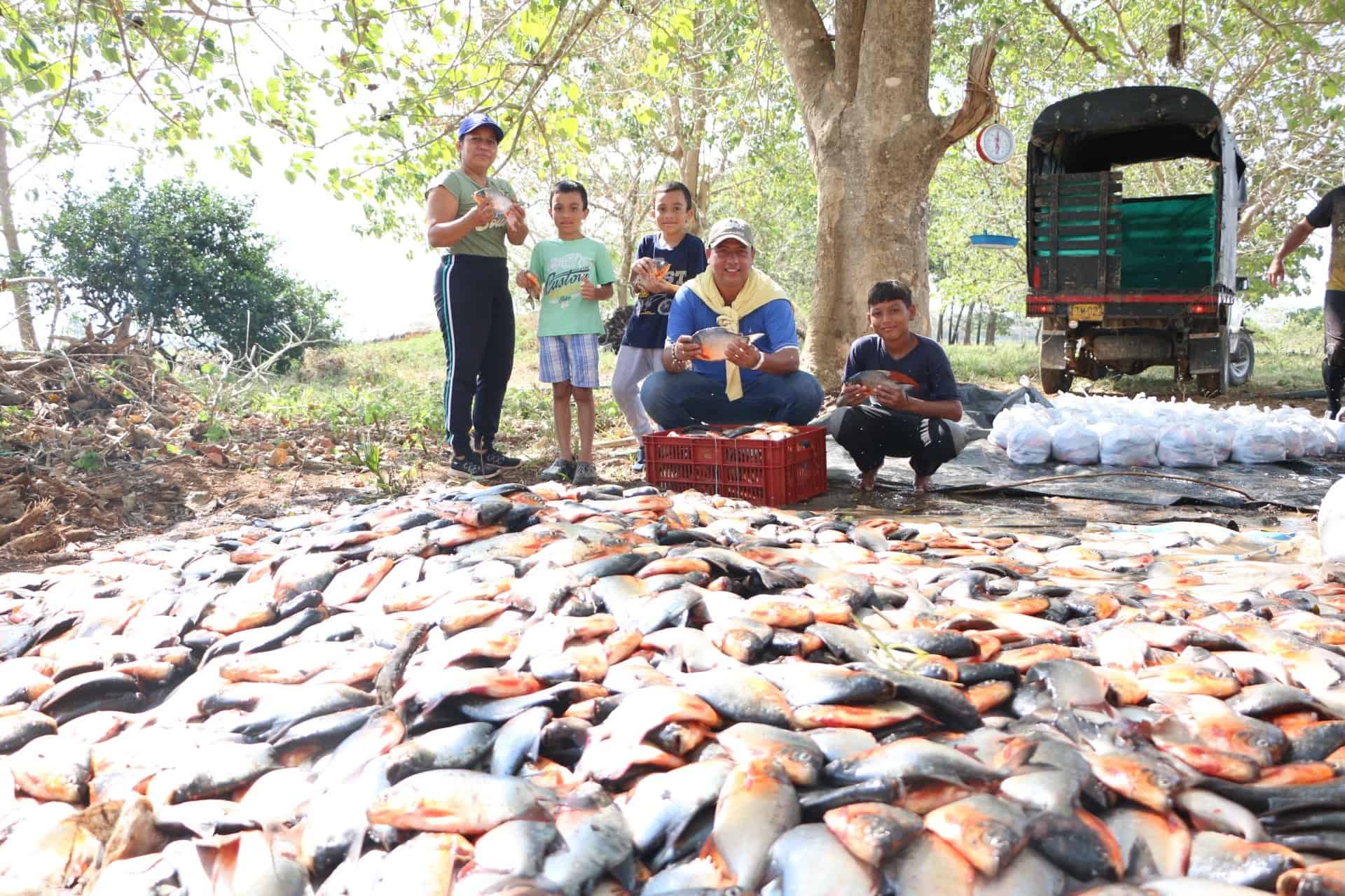 Cuarta entrega de alimentos en Cáceres