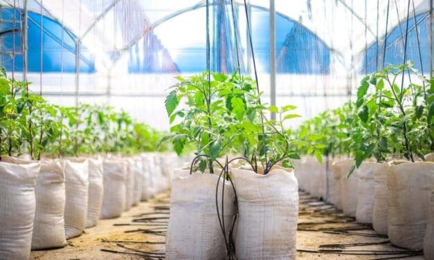 “La Ciudadela Agrotecnologica San José” el nuevo proyecto de la Secretaría de Agricultura de Marinilla pensado en el futuro del campo