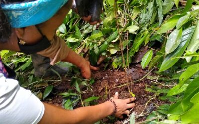 Insumos agropecuarios para los santabarbareños