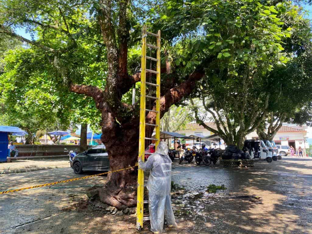 Nuevas construcciones y remodelaciones en Valparaíso, Antioquia