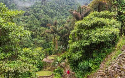 Será una realidad el Parque Natural y Arqueológico Cerro Tusa