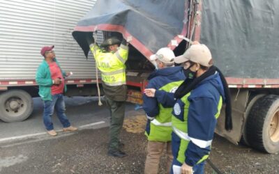 ¡Atención! En las vías de El Santuario están realizando control del tráfico de flora y fauna