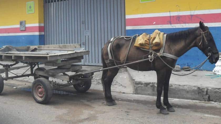 En El Santuario no van más los vehículos de tracción animal