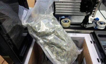 Capturado por llevar marihuana en un microondas