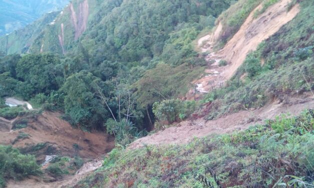 Mayores recursos para el Suroeste por causa de los daños en las vías