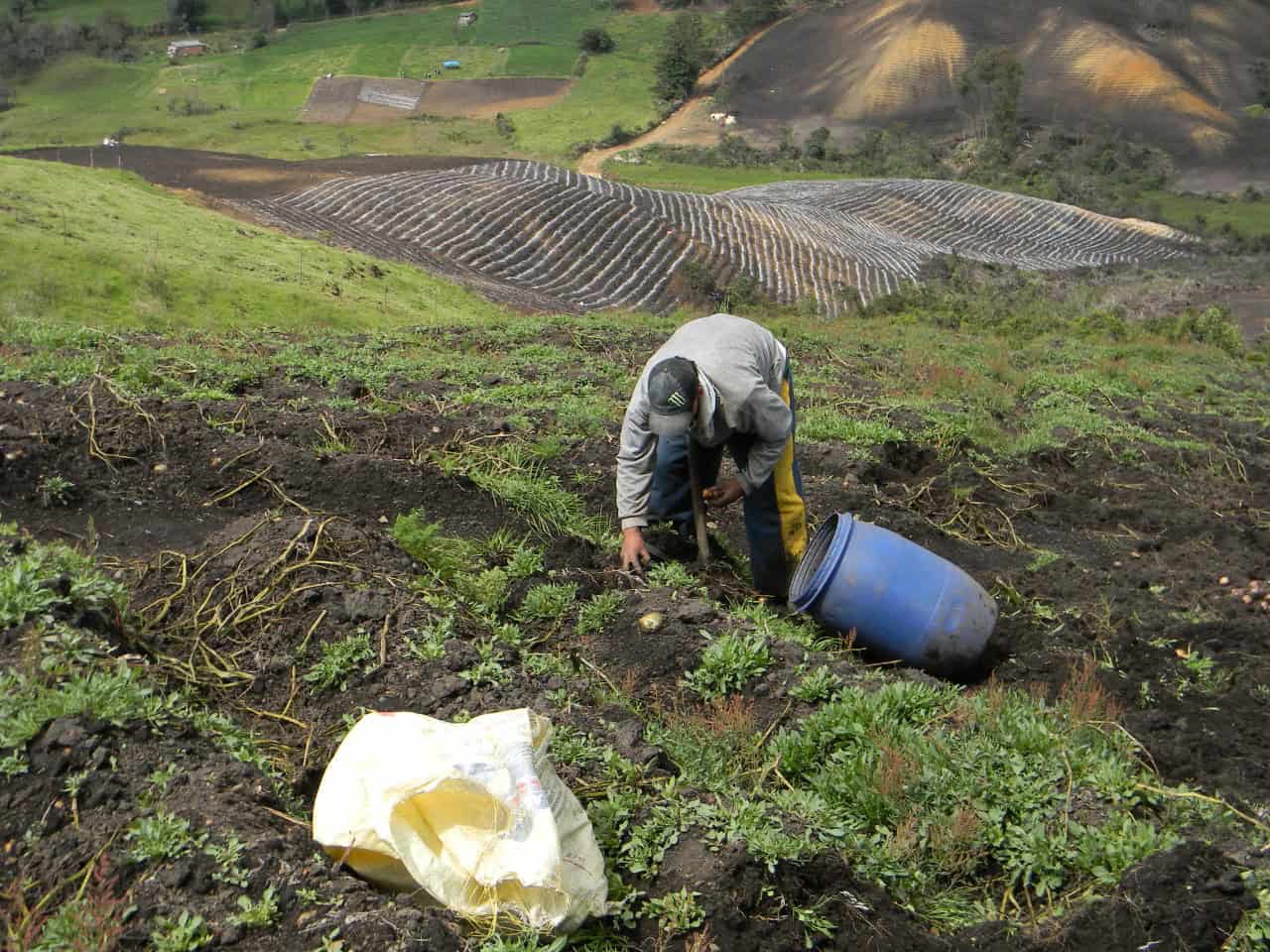 Los productos del campo antioqueño llegarán a diferentes partes del mundo