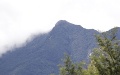 Ahora poblaciones del Oriente podrán ejecutar proyectos en zonas protegidas de Cornare