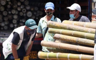 En Marinilla fueron favorecidas 30 familias para mejorar los procesos productivos
