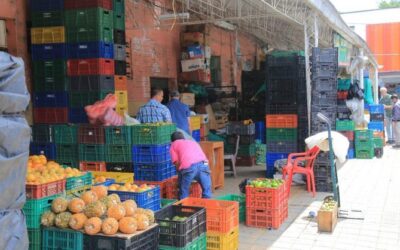Hasta el momento Rionegro no presentaría desabastecimiento de alimentos