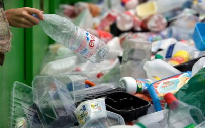 Nueva Asociación de Recicladores en San Pedro de Urabá