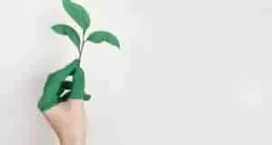 Anzá, comprometido con el cuidado del medio ambiente