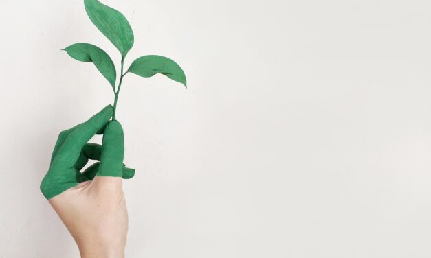 Anzá, comprometido con el cuidado del medio ambiente