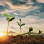 Feria agroalimentaria en Armenia