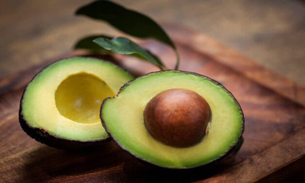 El aguacate es una oportunidad para el desarrollo agropecuario de Caicedo