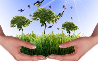 Aseo Global crea estrategias en la Semana Ambiental