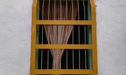 Campaña “Ventanas de mi pueblo” en Liborina