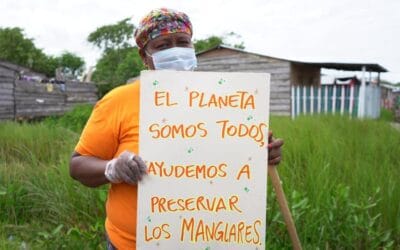 Conservación del Ecosistema de Manglar en Turbo