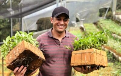 Ahora la autoridad ambiental busca reemplazar las bolsas plásticas por espuma fenólica para la siembra de cultivos