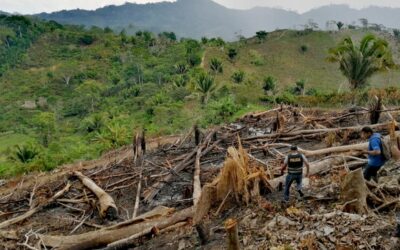 En El Oriente antioqueño buscan combatir los delitos ambientales