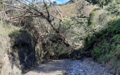 Durante el fin de semana reportaron varios derrumbes en Abejorral y La Unión