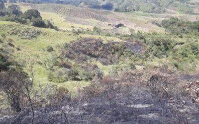Según la Alcaldía de Sonsón no hubo afectación sobre el incendio en el Páramo
