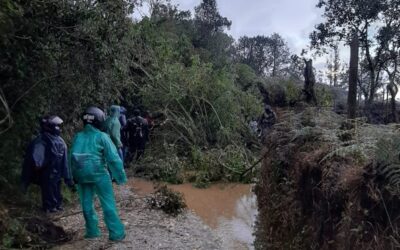 Reportan perdidas de cultivos por ola invernal en San Vicente