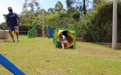 Primer parque perruno en Rionegro