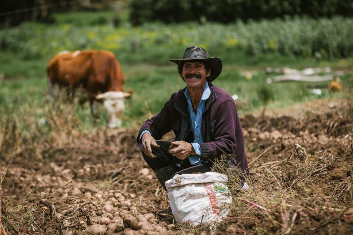 Los campesinos de Antioquia siguen soñando con un futuro próspero
