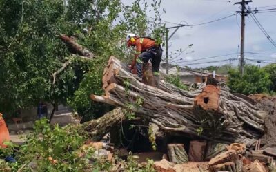 La lluvia dejó damnificados en Caucasia