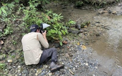 En El Oriente se está construyendo la primera guía de mariposas